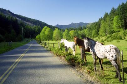 So Slow Down & Enjoy the Scenic Roads! So Slow Down & Enjoy the Scenic Roads!