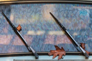 windshield wiper care